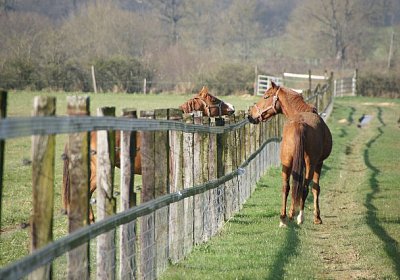 sc loxley DSC05260 640x426.jpg