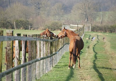 sc loxley DSC05261 640x426.jpg