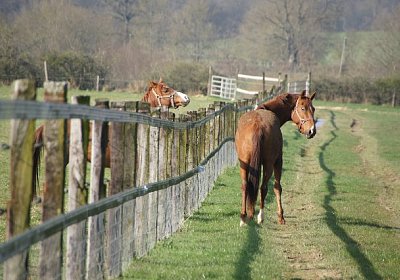 sc loxley DSC05264 640x426.jpg