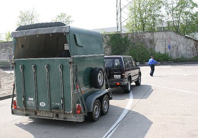 IMG 6933 600x400.jpg