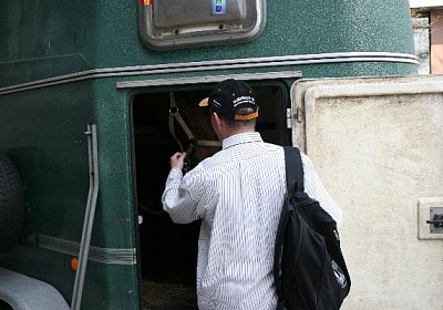 IMG 6941 600x400.jpg