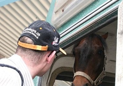 IMG 6945 600x400.jpg