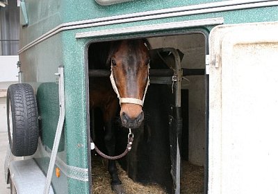 IMG 6947 600x400.jpg