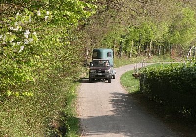 IMG 6988 600x400.jpg