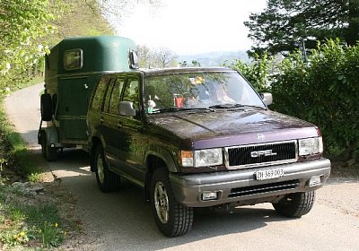 IMG 6990 600x400.jpg