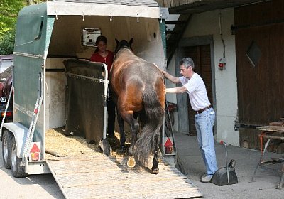 IMG 6995 600x400.jpg