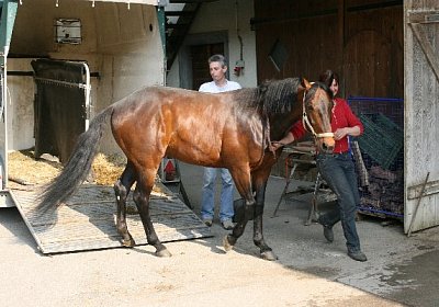 IMG 6997 600x400.jpg