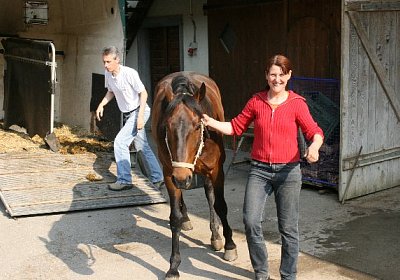 IMG 6998 600x400.jpg