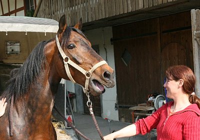 IMG 7002 600x400.jpg