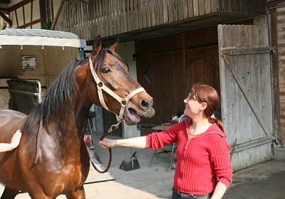 IMG 7006 600x400.jpg