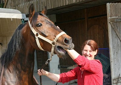 IMG 7011 600x400.jpg