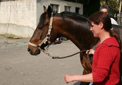 IMG 7012 600x400.jpg