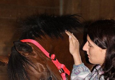 IMG 5092 600x400.jpg