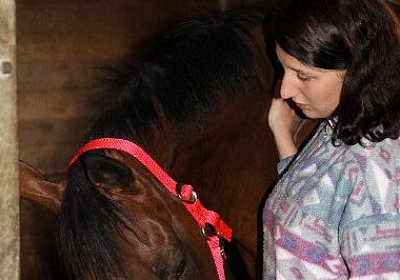 IMG 5093 600x400.jpg