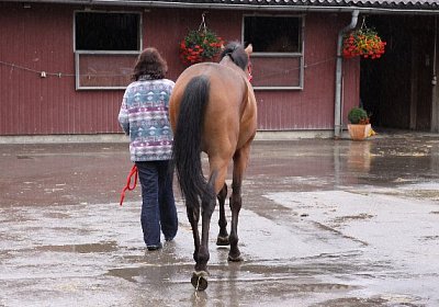 IMG 5096 600x400.jpg