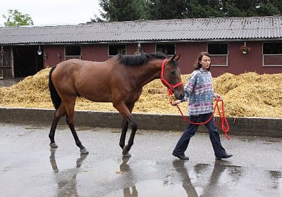 IMG 5100 600x400.jpg