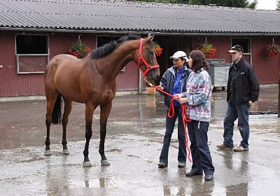 IMG 5123 600x400.jpg