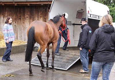 IMG 5142 600x400.jpg