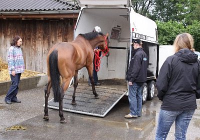 IMG 5143 600x400.jpg