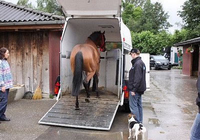 IMG 5147 600x400.jpg