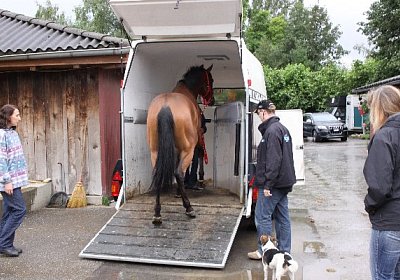 IMG 5149 600x400.jpg