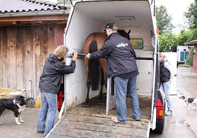 IMG 5155 600x400.jpg