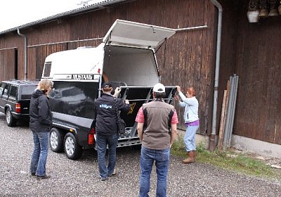 IMG 5164 600x400.jpg