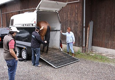 IMG 5170 600x400.jpg