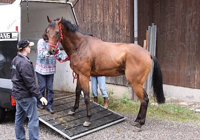 IMG 5184 600x400.jpg