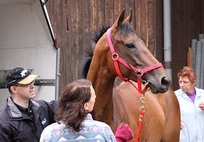 IMG 5190 600x400.jpg