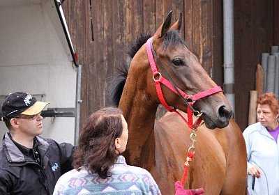 IMG 5191 600x400.jpg