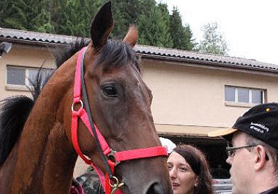 IMG 5210 600x400.jpg