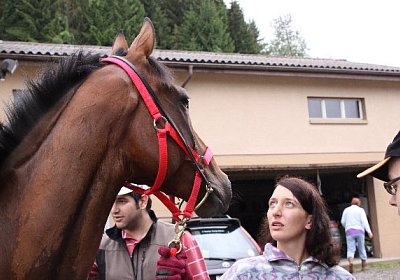 IMG 5212 600x400.jpg