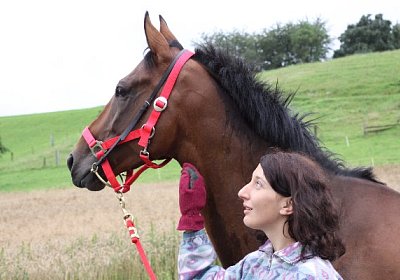 IMG 5221 600x400.jpg