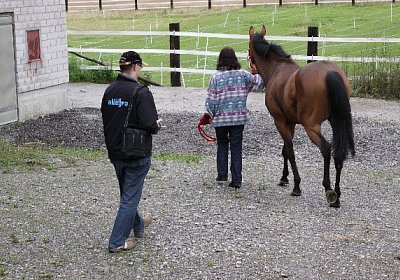 IMG 5231 600x400.jpg