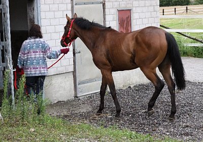 IMG 5234 600x400.jpg