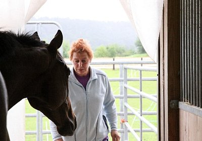 IMG 5275 600x400.jpg