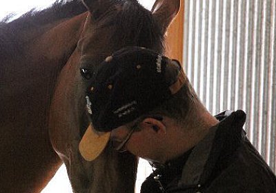 IMG 5281 600x400.jpg