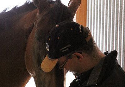 IMG 5282 600x400.jpg