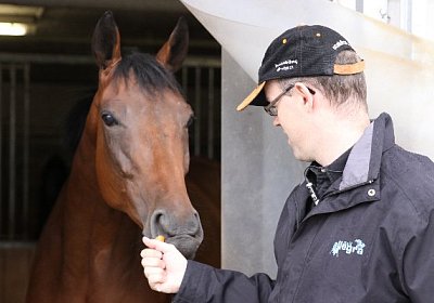 IMG 5294 600x400.jpg