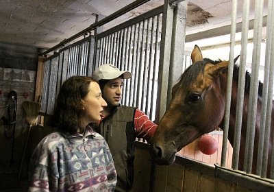 IMG 5320 600x400.jpg