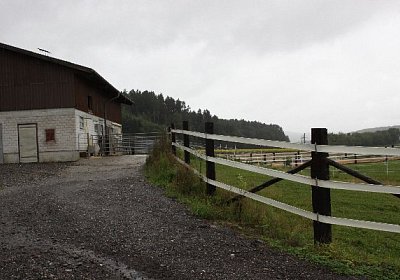 IMG 5345 600x400.jpg