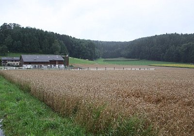 IMG 5347 600x400.jpg