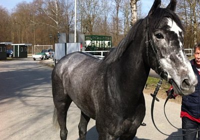 Portrait Besichtigung
