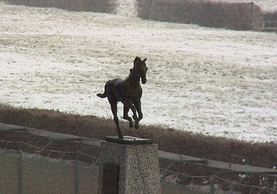 Winterstimmung im Trainingszentrum Dielsdorf