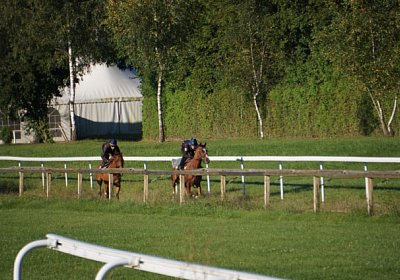 as Gitan Rushi DSC04286 [800x6...