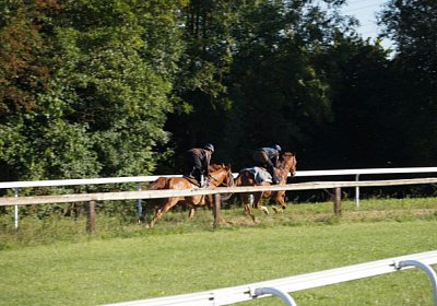 as Gitan Rushi DSC04302 [800x6...