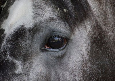 as Remedial DSC02182 [800x600]