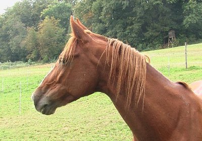 mo ONE IMGA0291 640x360