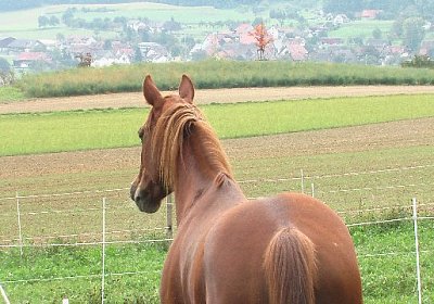 mo ONE IMGA0294 640x360